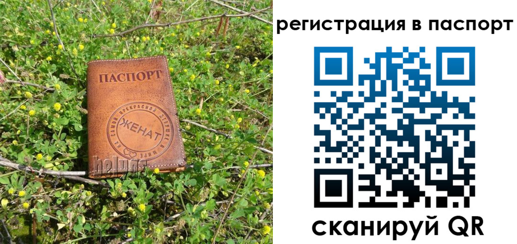 прописка законно в Струнино